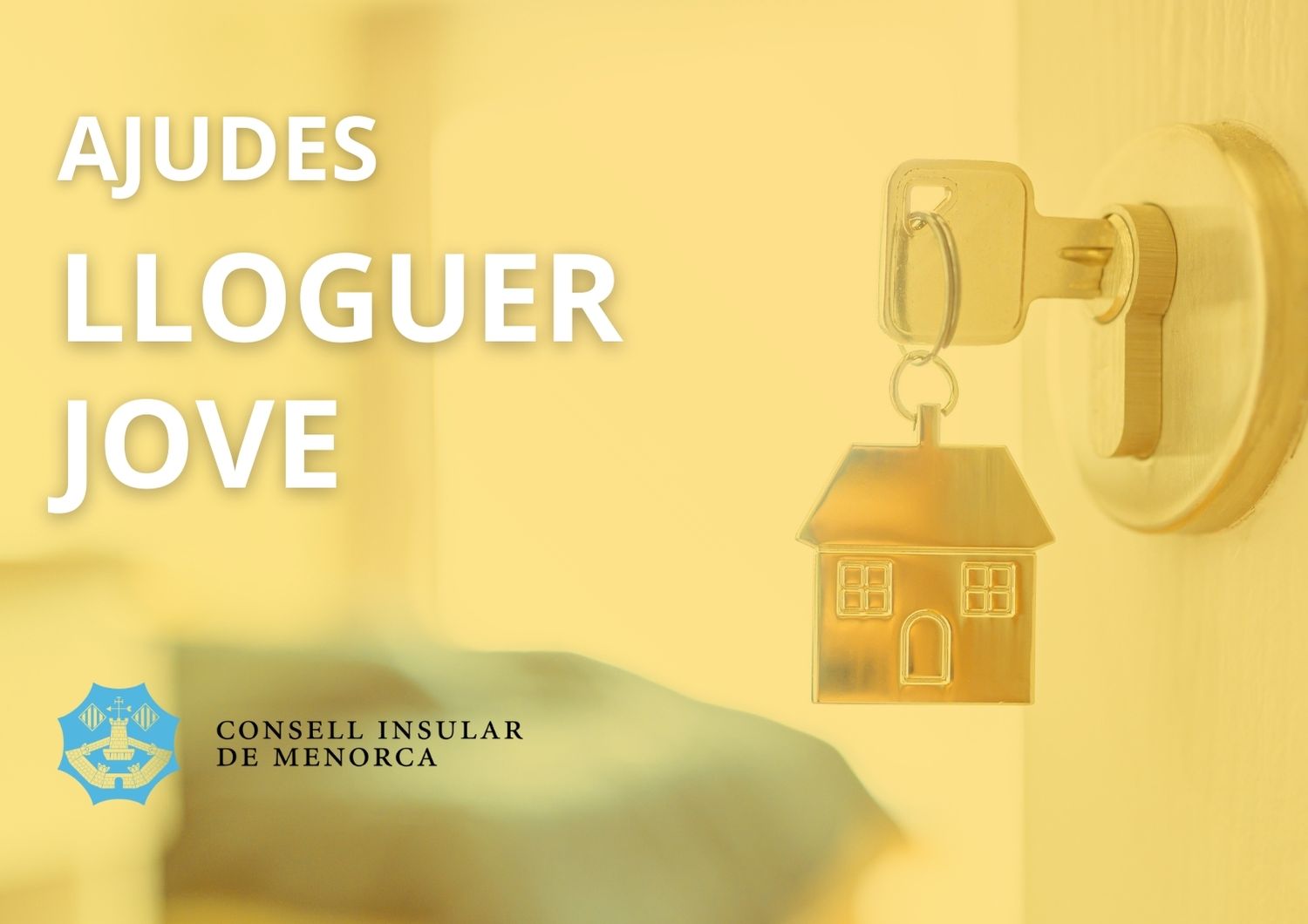AJUDES LLOGUER JOVE 2025